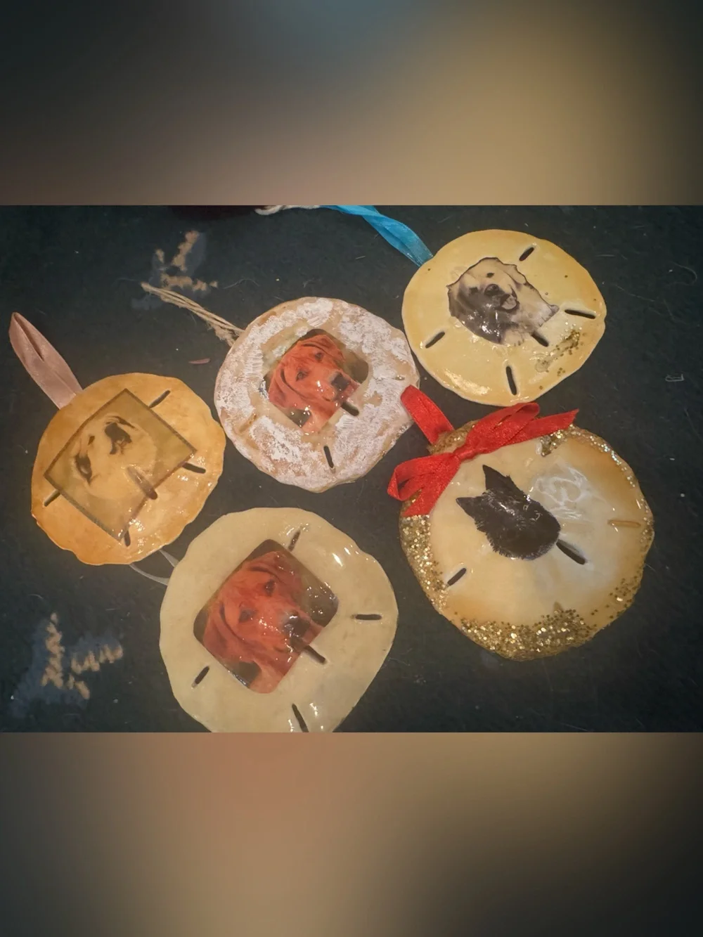 Handmade real Sand Dollar Photo Ornaments - Gold and Cream